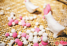 冬至文案朋友圈句子 冬至诗词经典诗句推荐 最新冬至安康祝福语-融党建互动平台