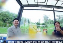 节目组回应炎亚纶缺席录制  炎亚纶节目正脸镜头遭删减-融党建互动平台