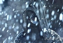 《玉骨遥》智者大人真实身份揭秘 智者大人是好人还是坏人-融党建互动平台