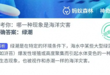 考考你：哪一种现象是海洋灾害？涨潮还是绿潮 神奇海洋今日答案最新-融党建互动平台