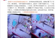 猴子4小时去超市连偷3次 动作熟练店员都没发现-融党建互动平台