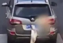 男子炫耀钓到大鱼挂后备箱示众 交警：扣9分罚款200元-融党建互动平台