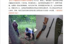 大娘上山采蘑菇发现猎枪后报警 枪内没有子弹-融党建互动平台