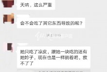 河南一地禁售凉皮 疑有人中毒身亡 官方：确有此事发生-融党建互动平台