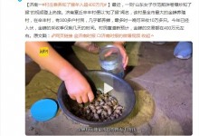 济南一村庄靠养知了猴年入超400万元 全村几乎都养蝉-融党建互动平台