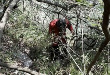 湖南女子为添道菜深山采蘑菇失联 遗体在400米悬崖下找到-融党建互动平台