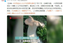 村民挖出3.2公斤巨型野生菌 网友：吃不完真的吃不完-融党建互动平台