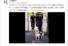 搜爆犬上下班反差 网友：上班老十岁、下班变年轻-融党建互动平台