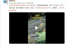 奶奶把草鱼当宠物养到40来斤 网友：不愧是奶奶养大的孩子-融党建互动平台