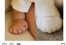 孙艺珍玄彬儿子照片曝光：小宝宝手胖乎乎圆嘟嘟的-融党建互动平台