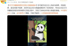 汉文帝霸陵殉葬坑发现大熊猫骨骼-融党建互动平台