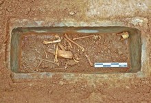 汉文帝霸陵殉葬坑发现神奇动物貘 霸陵陪葬均是珍禽异兽-融党建互动平台