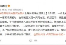 顾客吃面发现碗里有完整死老鼠 负责人：端上去时候还没有-融党建互动平台