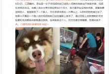 托熟人养狗当天被卖掉宰杀 阿拉斯加才9个月大-融党建互动平台