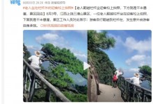 老人坐在悬崖边的迎客松上拍照 景区：发生意外自己承担-融党建互动平台