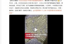 女生出生起14年每天抱毯睡用成絮状 最后编了手绳作纪念-融党建互动平台
