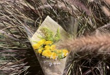 2023年8月8号几点立秋 今年是早秋还是晚秋？如何分早立秋还是晚立秋？-融党建互动平台