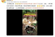 男子捡到超大野生菌一锅炖不下 网友：好家伙-融党建互动平台