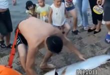 男子游泳时徒手抓到1米多大鱼 当事人：鱼口内外有七八个鱼钩-融党建互动平台