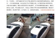 金毛未拴绳扑倒女子撕咬怀中小狗 目击者：女子被咬-融党建互动平台