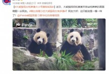 大熊猫母女吃笋像大小号复制粘贴 网友：这遗传杠杠的-融党建互动平台