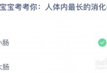 今日蚂蚁庄园小课堂最新答案8.18：人体内最长的消化器官是小肠还是大肠-融党建互动平台