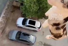 男子将小狗从高楼抛下摔死并炫耀 浙江诸暨警方通报-融党建互动平台