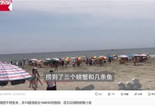 北海派15艘船拉1800米网搜捕咬人鱼：难度大 像大海捞针-融党建互动平台