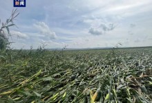 黑龙江省勃利县出现龙卷风 近200亩农田受灾-融党建互动平台