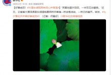 大理东湖现两株同心并蒂莲：莲开并蒂，佳偶成双-融党建互动平台