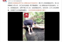 男子下鳄鱼池捞手机 动物园回应：系工作人员-融党建互动平台