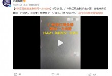 广州珠江水面现鱼群齐游 目击者：鱼群至少一公里长-融党建互动平台