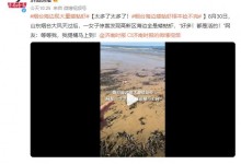 烟台海边现大量蝼蛄虾 网友：等等我，我提桶马上到-融党建互动平台