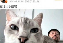 胡歌回应网友“大小姐”热评 网友：我哥活了 这么多年没有过的鲜活-融党建互动平台