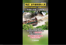 活牛2分钟被强行灌水近50升 起底注水牛黑窝点-融党建互动平台