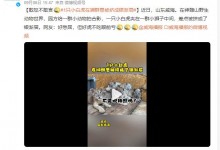 1只小白虎在狮群里被挤成银渐层 网友：小受气包-融党建互动平台