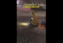 深圳外卖小哥暴雨中艰难前行 暴雨红色预警继续生效中-融党建互动平台
