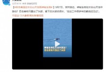 目击者回应长白山天池现神秘生物 目击者：只露出了头部-融党建互动平台