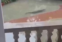 多条广东暴雨相关传言被辟谣  网民要注意甄别-融党建互动平台