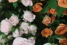 教师节祝福语金句 教师节图片文案句子 祝所有老师教师节快乐-融党建互动平台