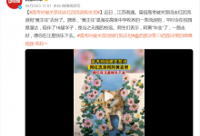 网红流浪狗“黄主任”去世了 曾因高考期间被关禁闭而走红-融党建互动平台