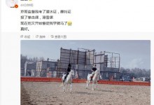 谢楠晒与吴京骑马照 称老公给她报了各类兴趣班-融党建互动平台