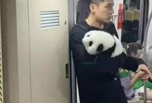 胡歌抱“国宝”现身地铁 胡歌《不虚此行》路演进行中-融党建互动平台