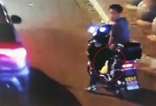 男子抓柯尔鸭当肉鸭吃赔了8千元 网友：不问自取便是偷-融党建互动平台