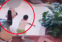 餐厅员工发顾客打娃视频后赔1万离职 网友：心疼孩子-融党建互动平台