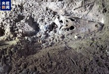 广东茂名“出逃”鳄鱼已被全部找到 未出现鳄鱼伤人事件-融党建互动平台