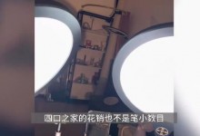 月薪6000小伙为见女主播打赏9000万 共挪走公款约1.23亿-融党建互动平台