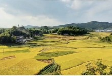 2023秋分时间几点几分 秋分传统习俗有哪些？秋分养生吃什么？-融党建互动平台