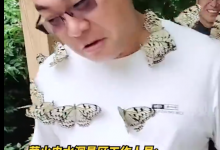 男版香妃：游客引来蝴蝶落满身 网友调侃让蝴蝶爱上的男人-融党建互动平台