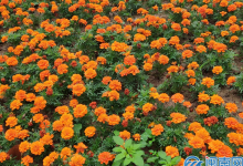 出游文案朋友圈短句 旅行高级有质感的句子说说心情-融党建互动平台